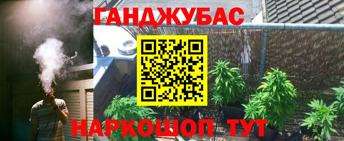 Конопля индика Ессентуки